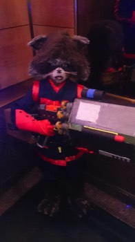marcus padgett (rocket)